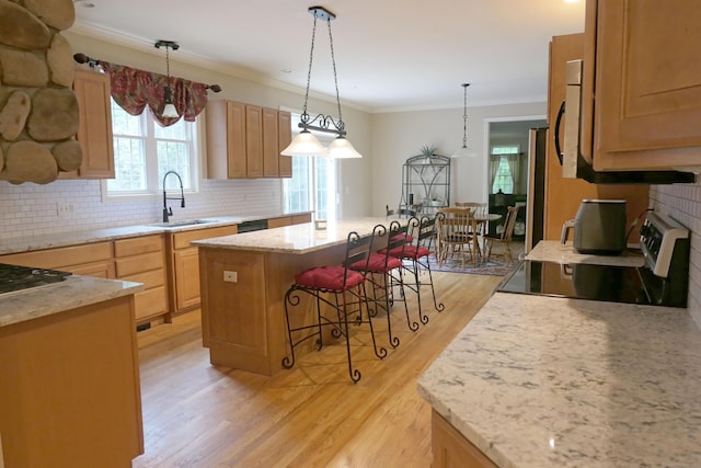 46 Brookfield Rd, Seymour, CT 06483 - kitchen featuring stove, light wood-type flooring, a sink, decorative backsplash, and crown molding