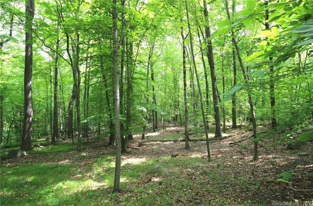 0 Mountain Rd, Wilton, CT 06897