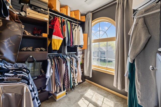 spacious closet featuring carpet flooring
