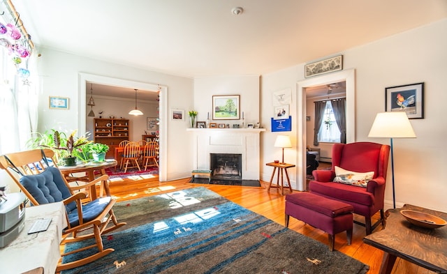 496 Whitney Ave Unit 1C, New Haven, CT 06511 - living area featuring a fireplace and wood finished floors