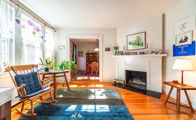 496 Whitney Ave Unit 1C, New Haven, CT 06511 - living area featuring a fireplace, ornamental molding, and wood finished floors
