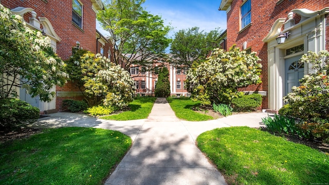 496 Whitney Ave Unit 1C, New Haven, CT 06511 - surrounding community with a yard