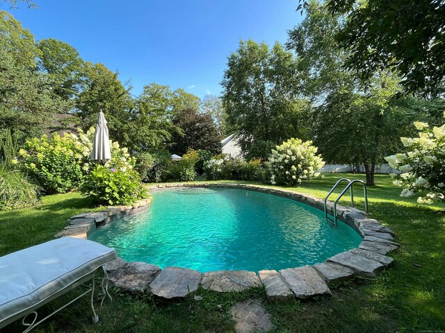 outdoor pool featuring a yard