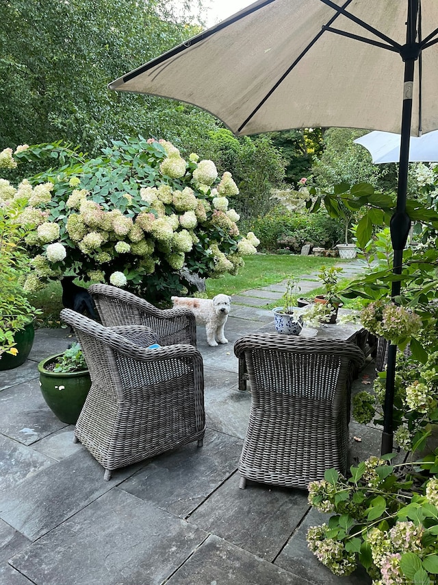 721 Ridgefield Rd, Wilton, CT 06897 - view of patio