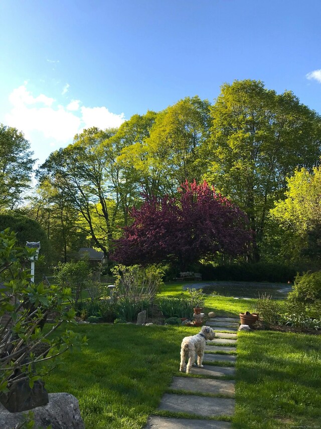 surrounding community featuring a lawn