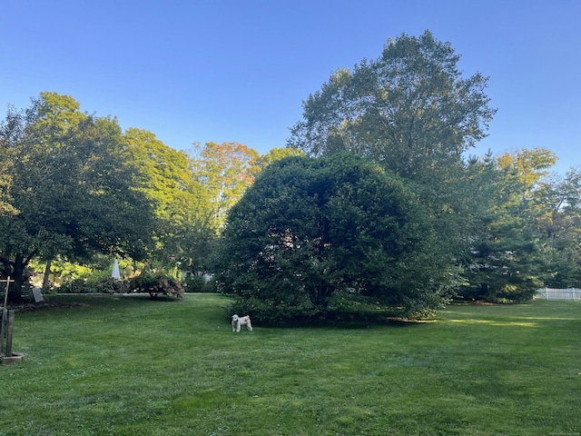 721 Ridgefield Rd, Wilton, CT 06897 - view of green lawn