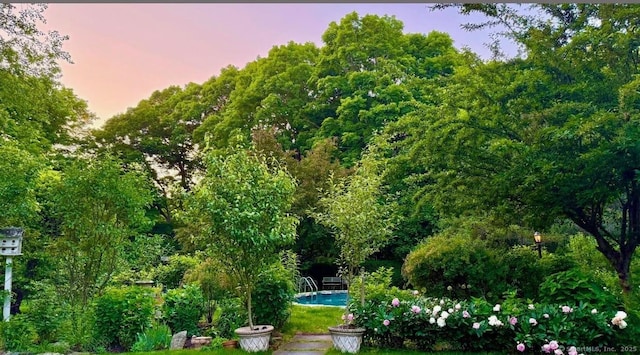 721 Ridgefield Rd, Wilton, CT 06897 - view of property's community featuring a swimming pool