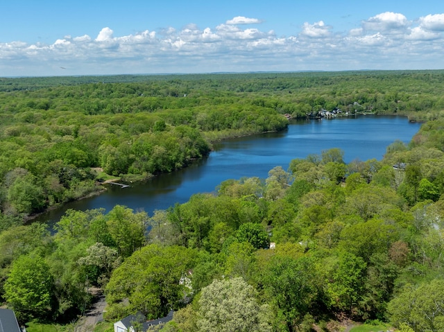 aerial view of a heavily wooded area and a large body of water
