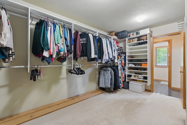 17 Pasture Ln, Glastonbury, CT 06073 - spacious closet featuring carpet floors