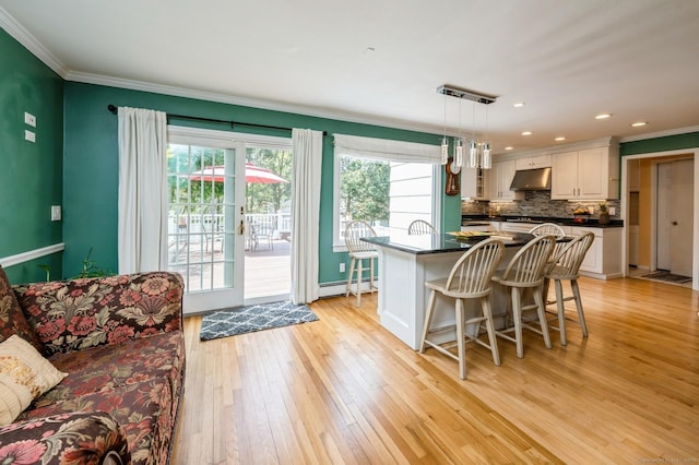 35 Hampton Ln, Stamford, CT 06903 - kitchen featuring under cabinet range hood, dark countertops, crown molding, light wood-type flooring, and a baseboard radiator