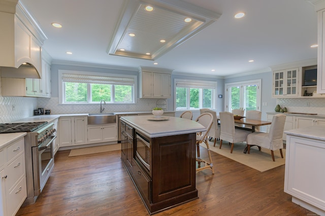 72 S Salem Rd, Ridgefield, CT 06877 - kitchen with appliances with stainless steel finishes, a sink, tasteful backsplash, light countertops, and recessed lighting