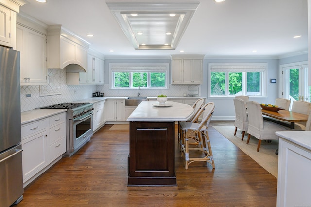72 S Salem Rd, Ridgefield, CT 06877 - kitchen featuring stainless steel appliances, a sink, plenty of natural light, light countertops, and crown molding