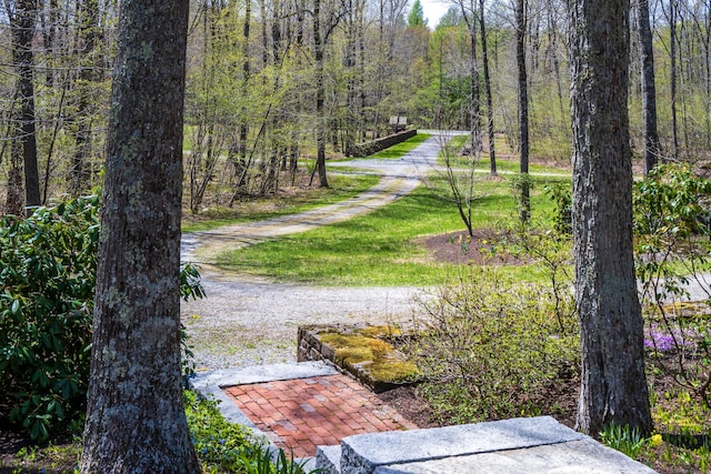 exterior space with a wooded view and a lawn