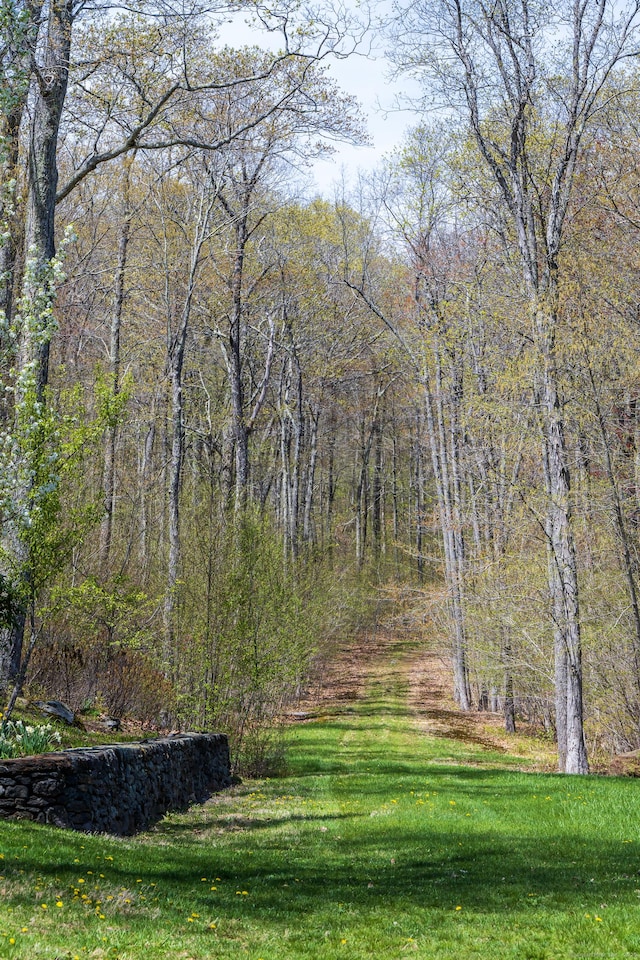 view of community with a lawn and a forest view