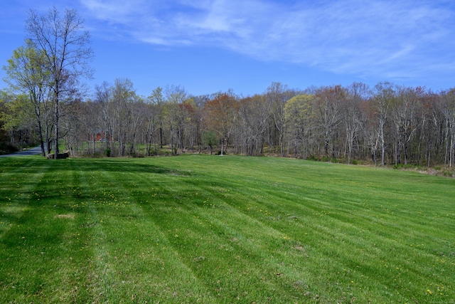 view of yard with a view of trees