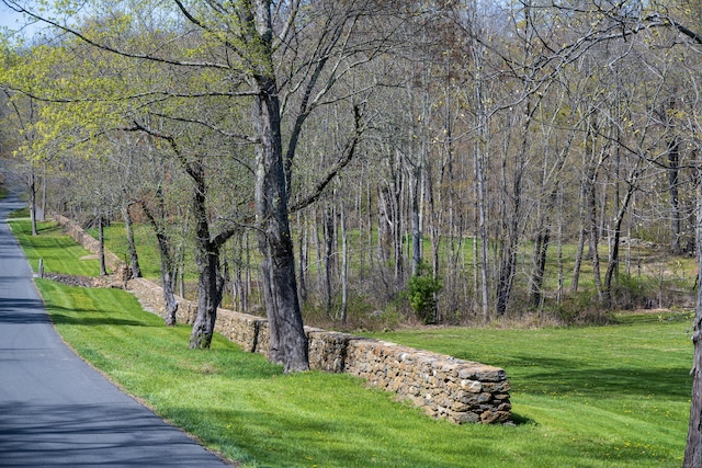 surrounding community featuring a yard