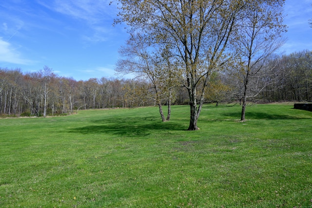 view of yard with a wooded view