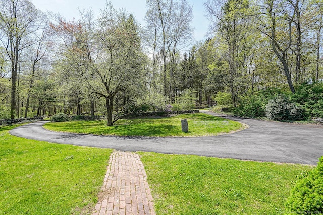 37 Pulpit Rock Rd, Woodstock, CT 06281 - view of road