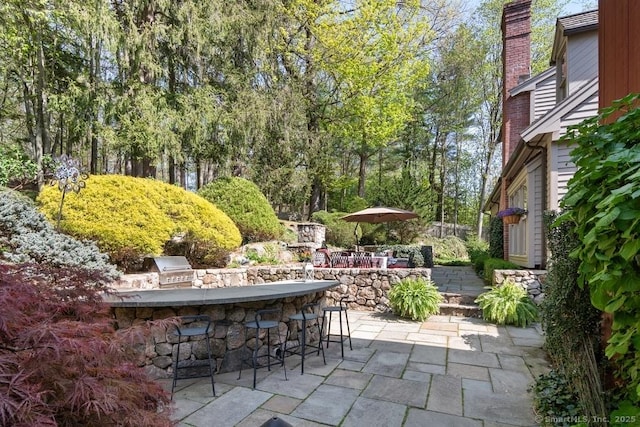 view of patio / terrace with area for grilling