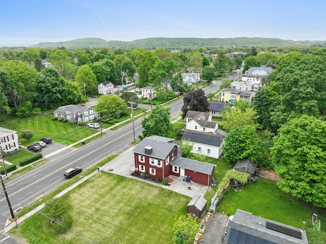 38 Broad St, Plainville, CT 06062 - drone / aerial view of a forest