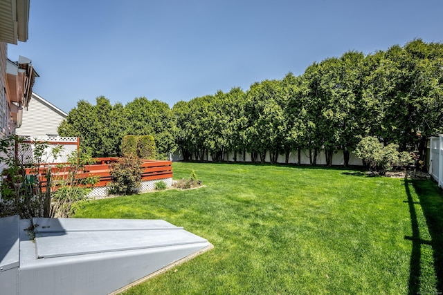 view of yard with a fenced backyard