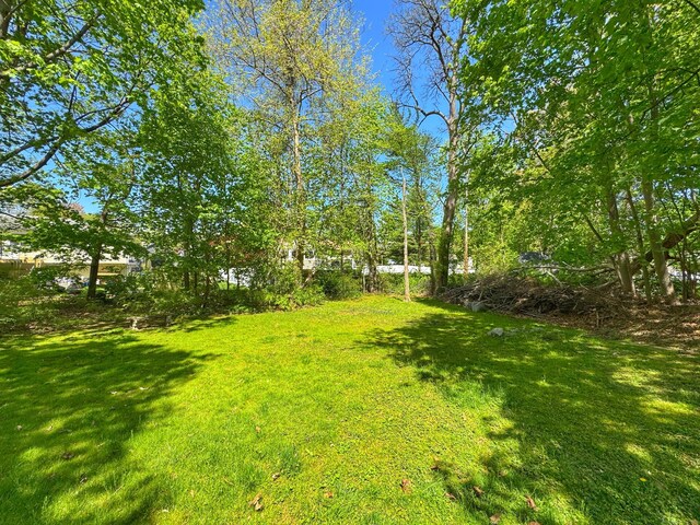 10 Ells St, Norwalk, CT 06850 - view of grassy yard