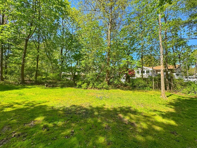 10 Ells St, Norwalk, CT 06850 - view of green lawn