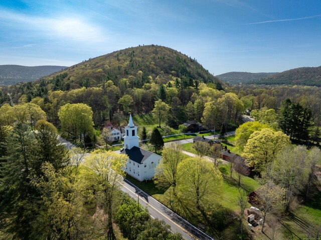 16 Rte 63, Canaan, CT 06031 - photo 4