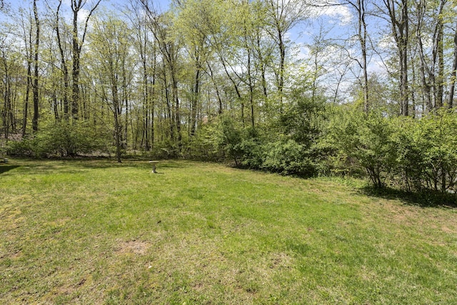 75 Summit Dr, North Branford, CT 06471 - photo 29