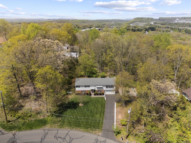 75 Summit Dr, North Branford, CT 06471 - photo 32