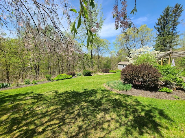 view of yard