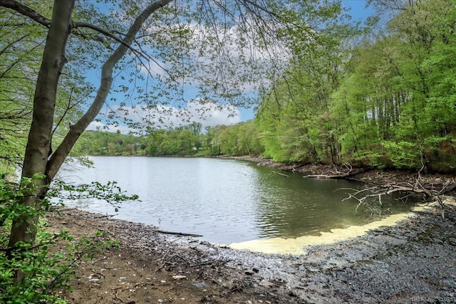view of water feature with a forest view