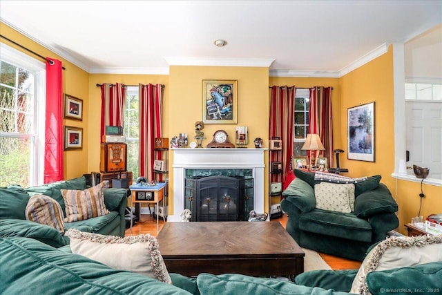 21 Woodcrest Ln Unit 21, Danbury, CT 06810 - living room featuring crown molding, a fireplace, and a wealth of natural light