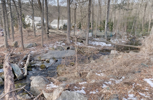 view of nature