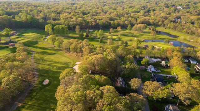 aerial view of property and surrounding area with a large body of water and a forest