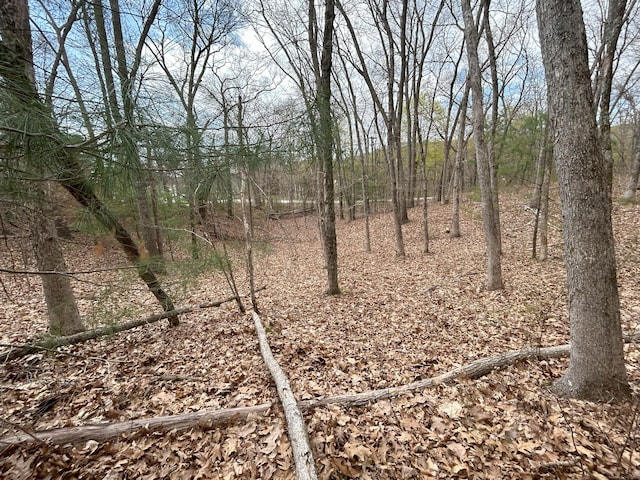 Church St, Sprague, CT 06330 - photo 7