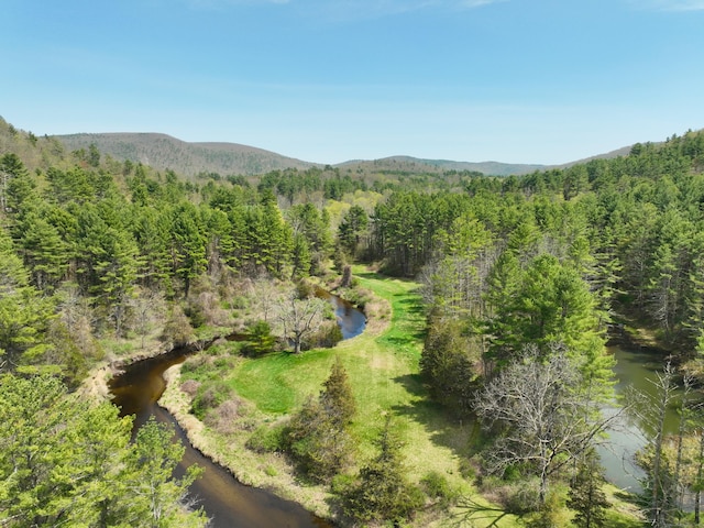birds eye view of property featuring a wooded view and a mountain view