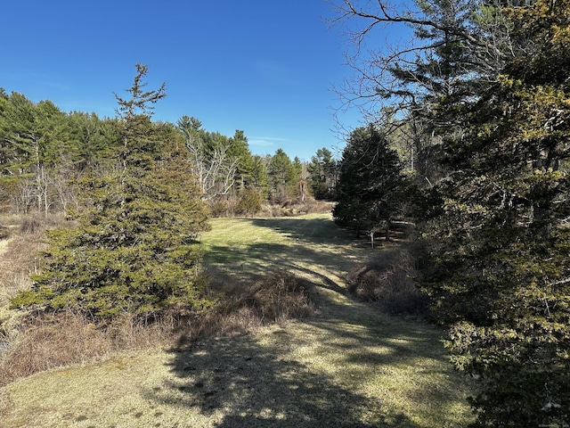 view of nature featuring a wooded view