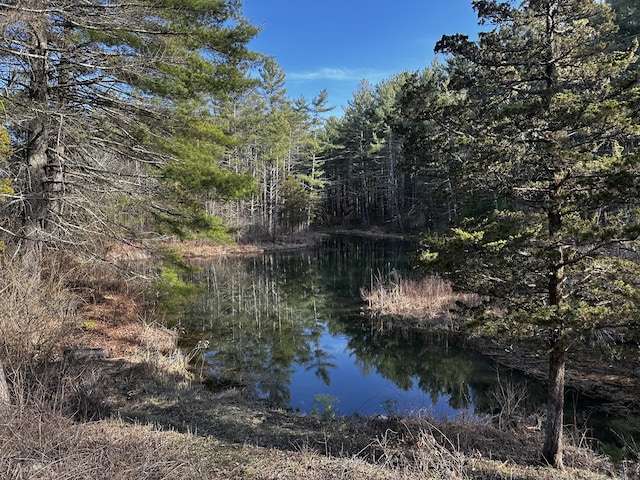 water view with a wooded view