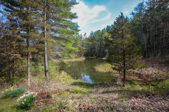 view of water feature featuring a view of trees