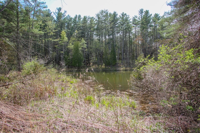 water view featuring a view of trees