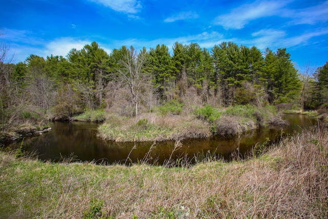 view of local wilderness featuring a view of trees