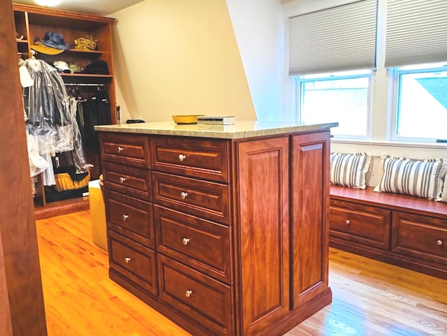 walk in closet with light wood-style flooring