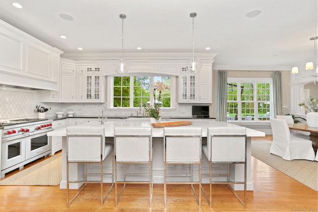 kitchen featuring backsplash, a wealth of natural light, double oven range, and light wood finished floors