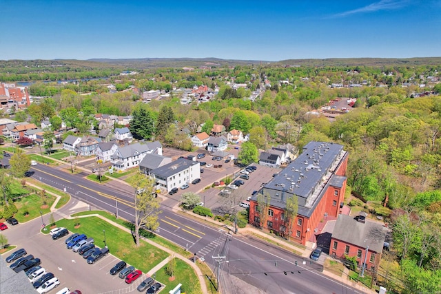 bird's eye view
