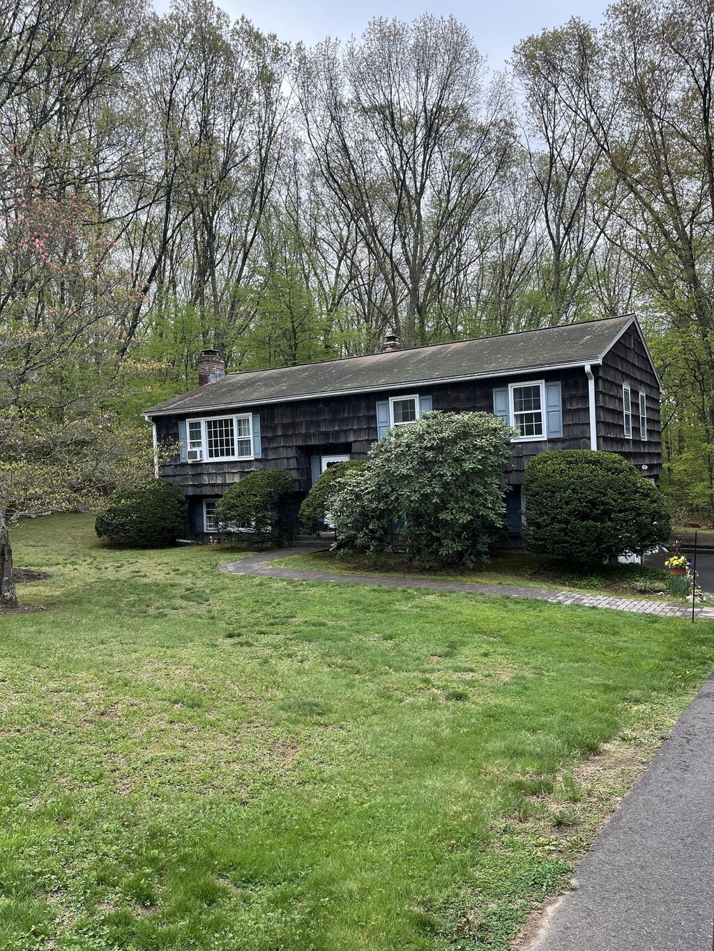 view of front of house with a chimney and a front yard