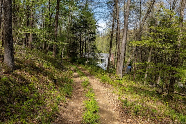 view of road featuring a forest view