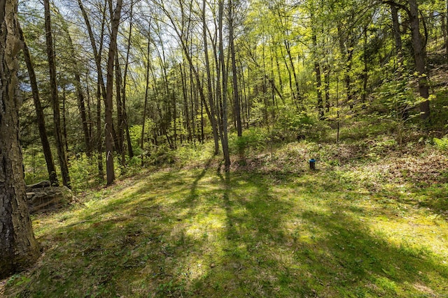 view of landscape featuring a wooded view