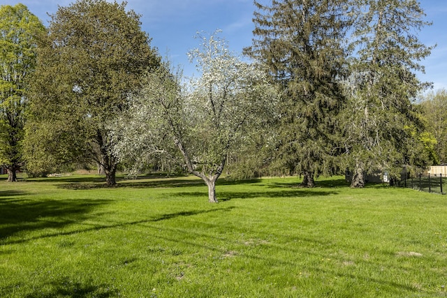 43 Gaylord Rd, New Milford, CT 06755 - photo 34