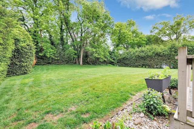 319 Wheeler Park Ave, Fairfield, CT 06825 - view of grassy yard